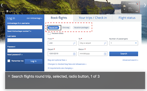 A detail of the American Airlines flight booking form.